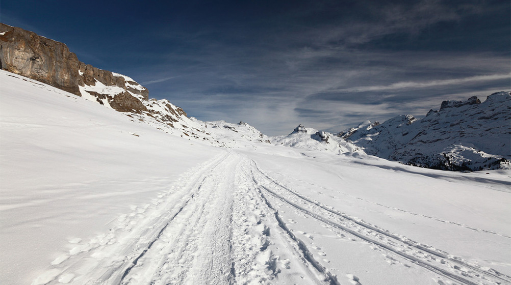 ag�ٷ���վ��(����)��ҳ���